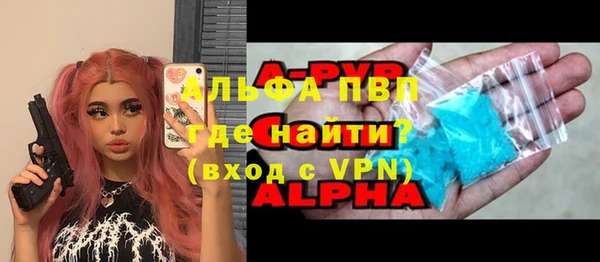 индика Новодвинск